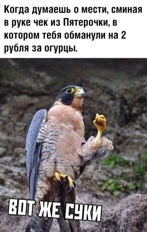    , , ,  , , , 