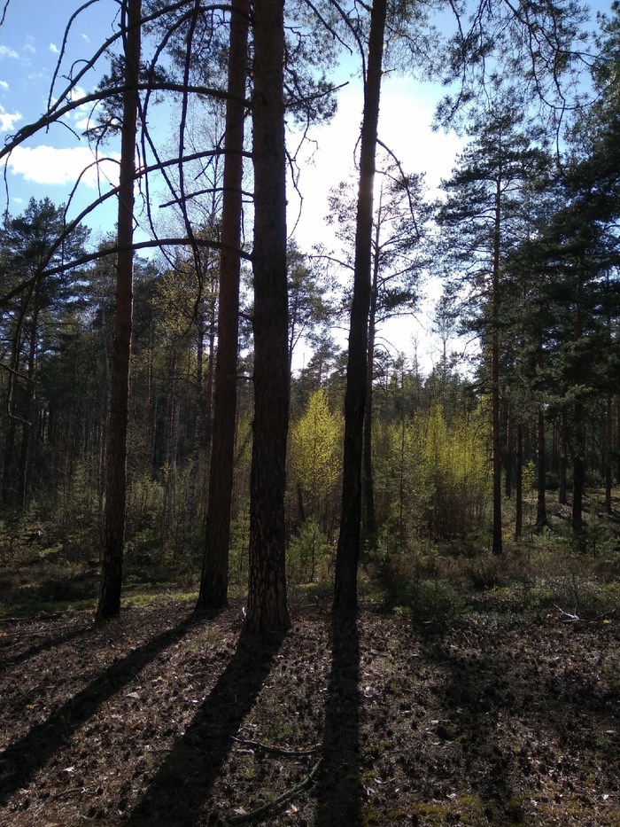 Разрешаю себе быть