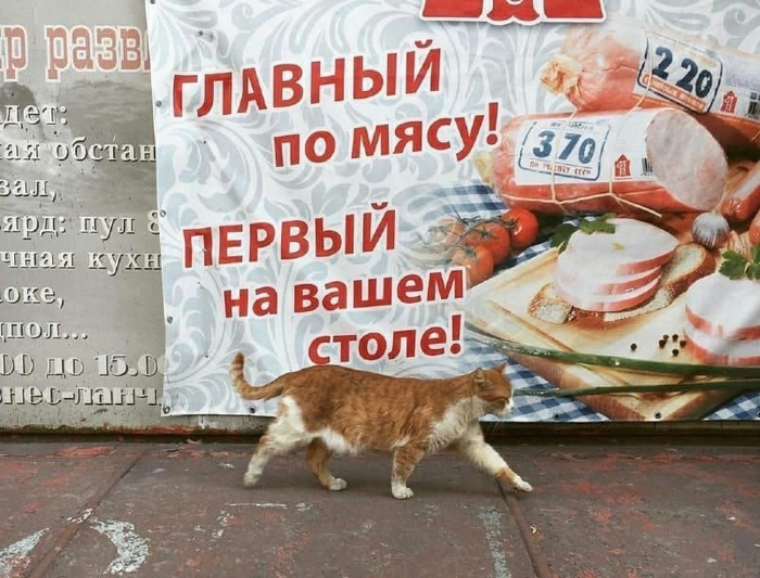  !