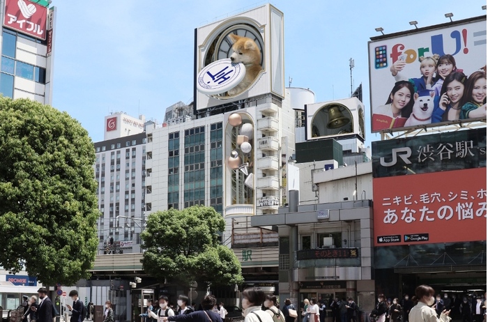 В Токио появились гигантские 3D-билборды собаки породы Акита-ину Видео, Со звуком, Собака, Креативная реклама, 3D, Длиннопост, Япония, Хатико, Билборд, Часы
