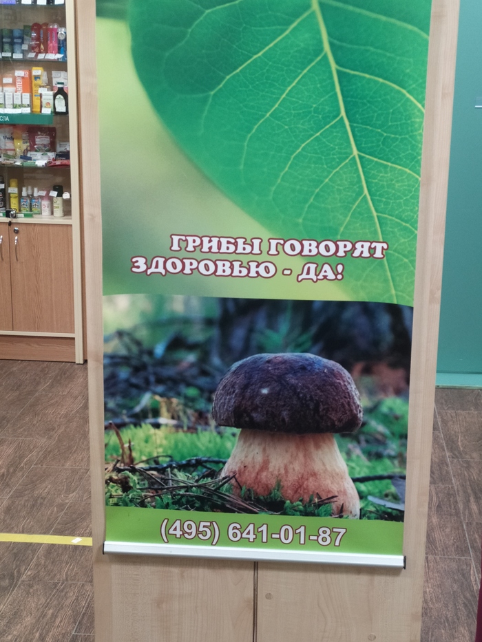 ������� ���� - �� �� ������ � ������ �� �������!