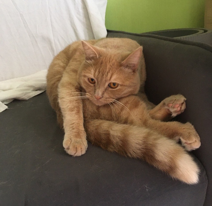 Прилег отдохнуть