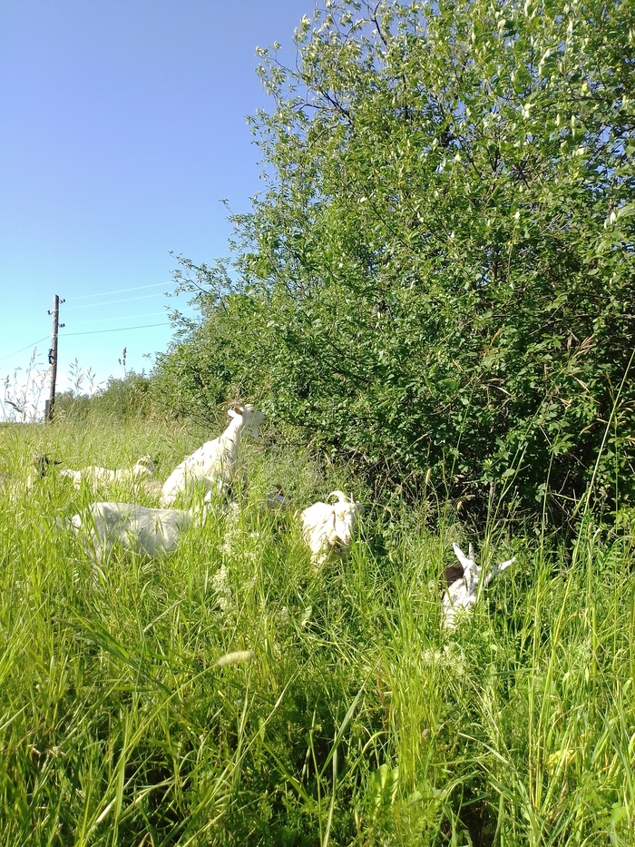 "Лисиццын дом"-47