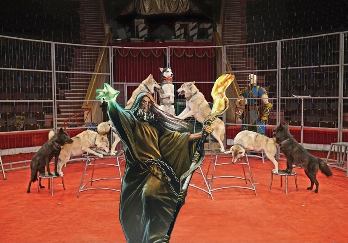 Watch pack - волки, которые согласились выступать в цирке