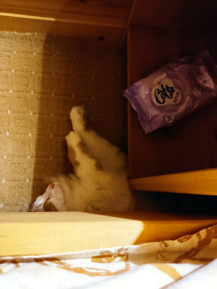 ��������� ��� �������