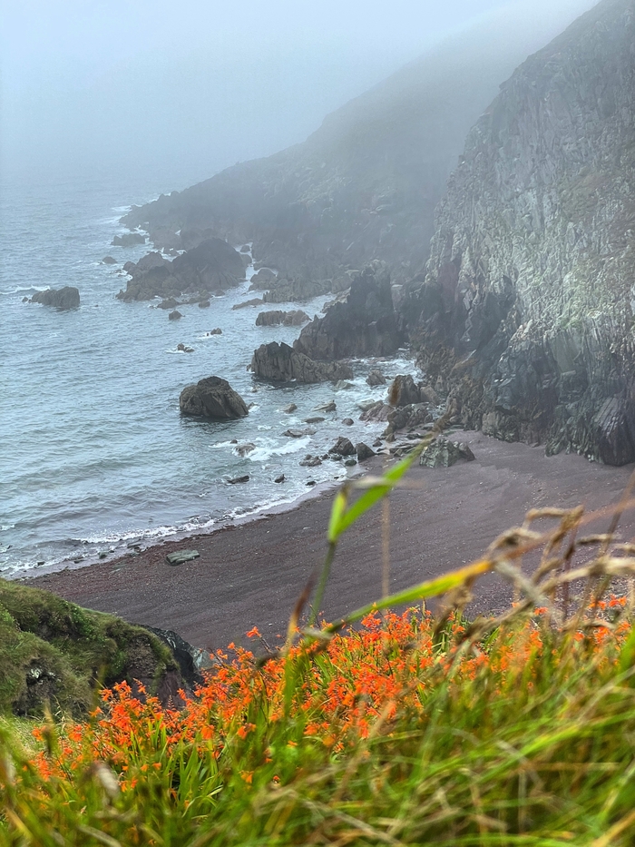 Ballycotton Cliffs, �������� ����, ��������