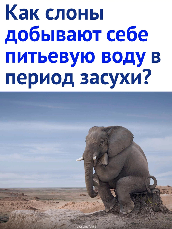  , , ,   , 