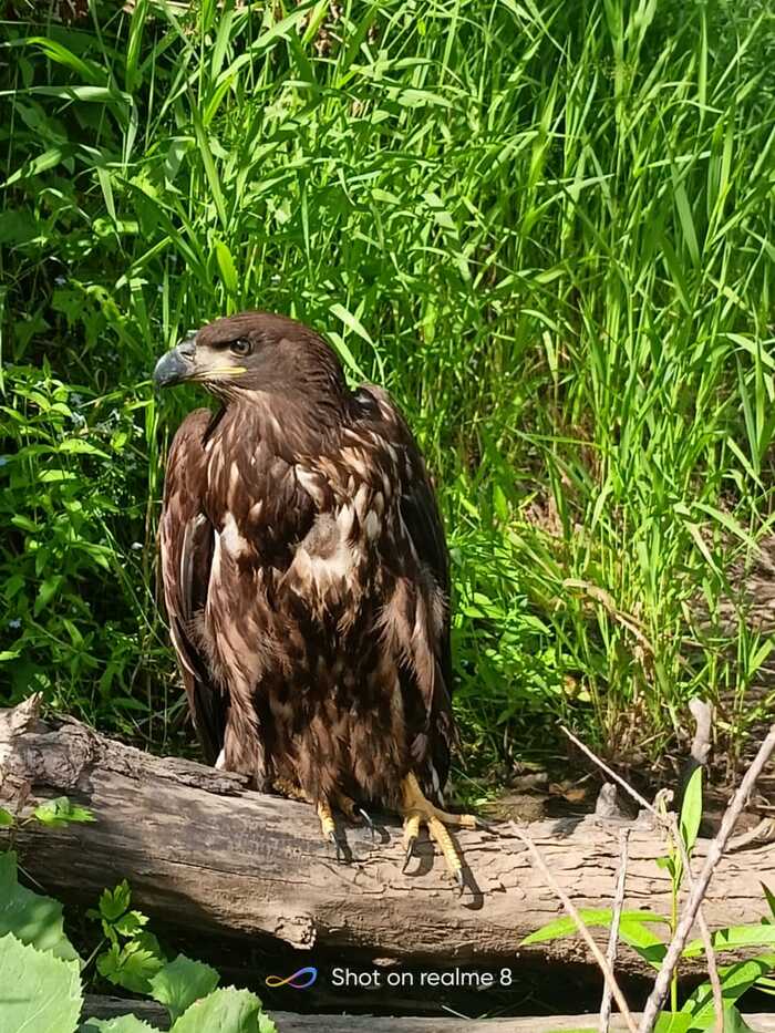 ��� �� �����?