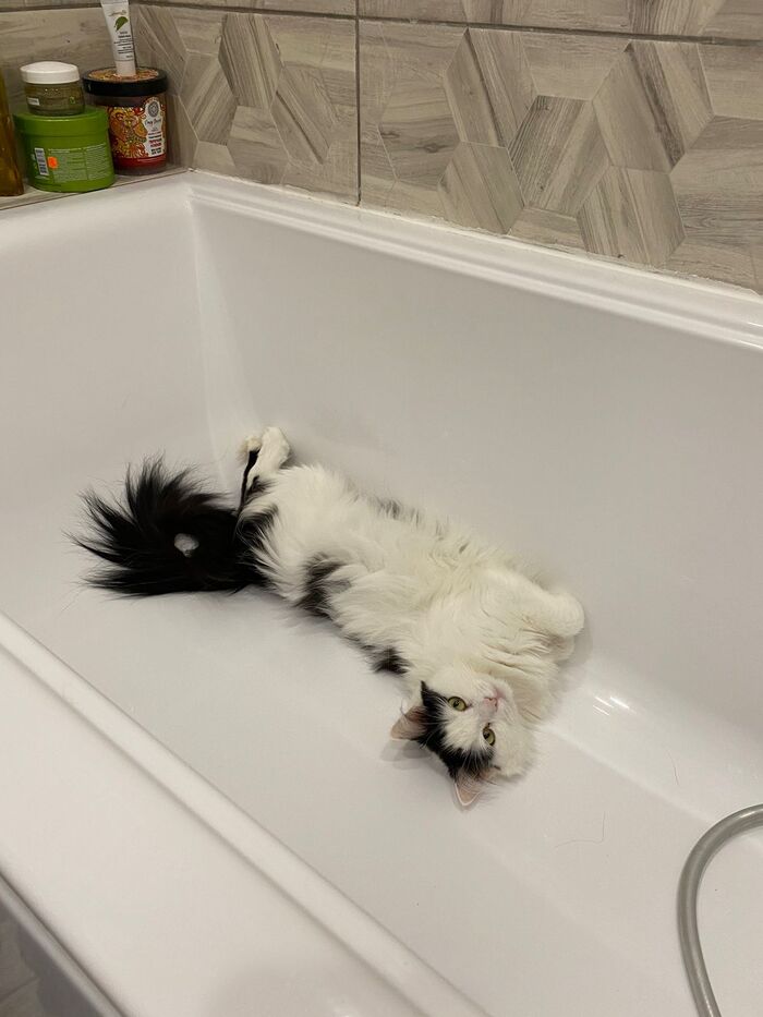 Послеобеденная ванна