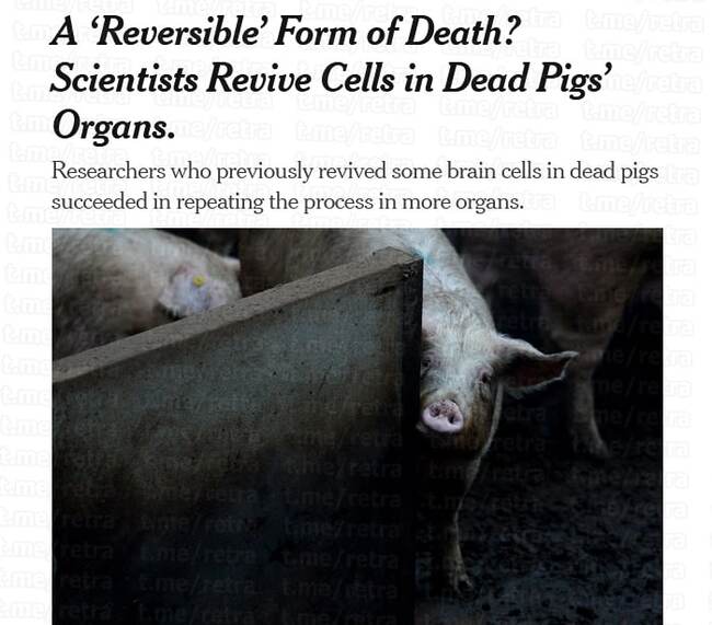 ������ ������ ���������� ���� ������ ������