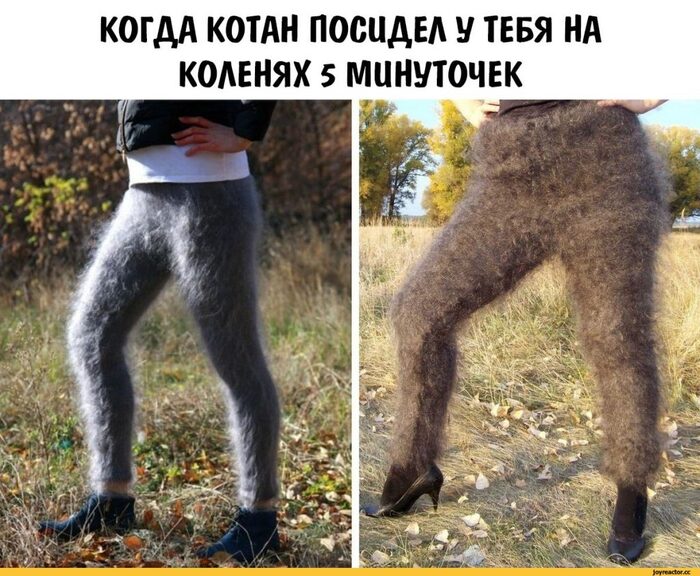    ,      , 