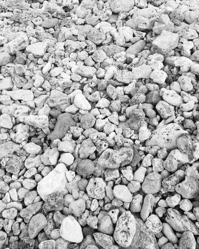 #13 � ����