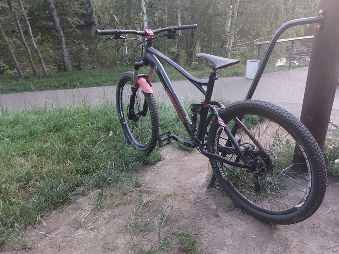 Вечерняя прогулка