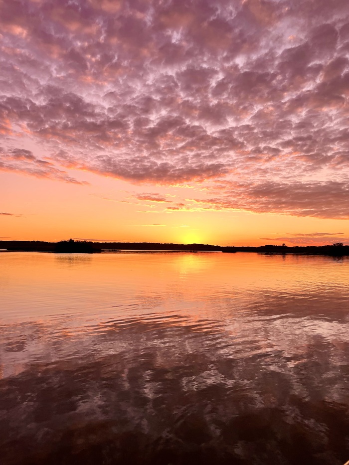 � ����, ��� �����...