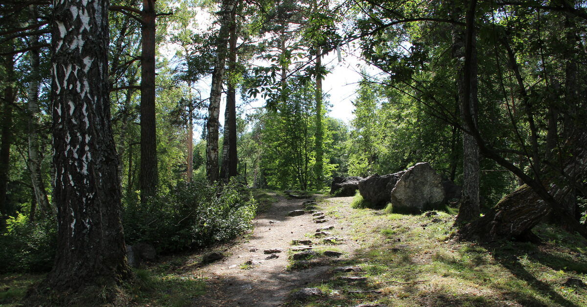 Zayeltsovsky, park, Russia, Novosibirsk, Parkovaya ulitsa, 88 - Yandex.Maps
