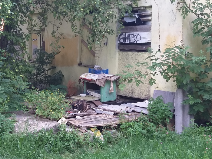 ������� � �����