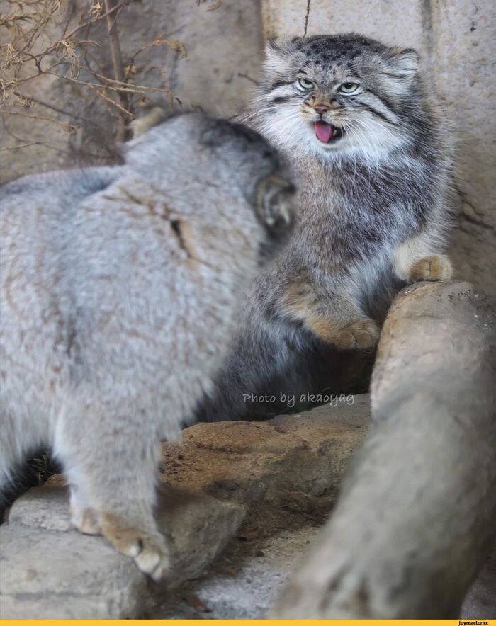 Серьёзный разговор