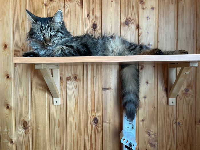 Надо срочно подзарядиться!