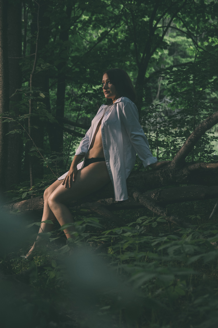 ������ ����