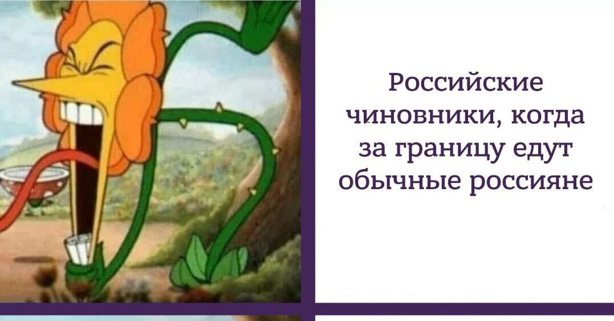 Вы не понимаете это другое картинка оригинал