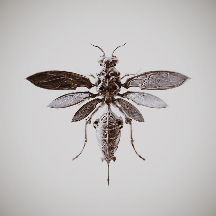 Ghost insects , ArtStation, , , , , , , , -, 3D, 