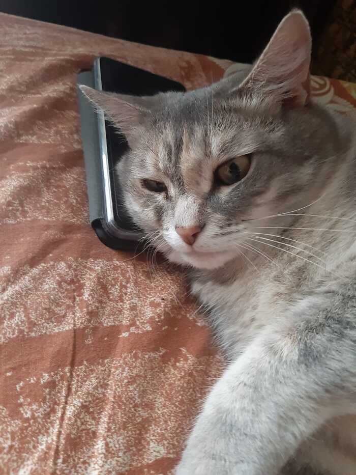 Важные переговоры