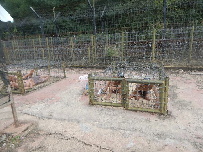 Вьетнам: Кокосовая тюрьма на острове Фу Куок Война во Вьетнаме, Вьетнам, Музей, Длиннопост Вьетнам: Кокосовая тюрьма на острове Фу Куок Война во Вьетнаме, Вьетнам, Музей, Длиннопост