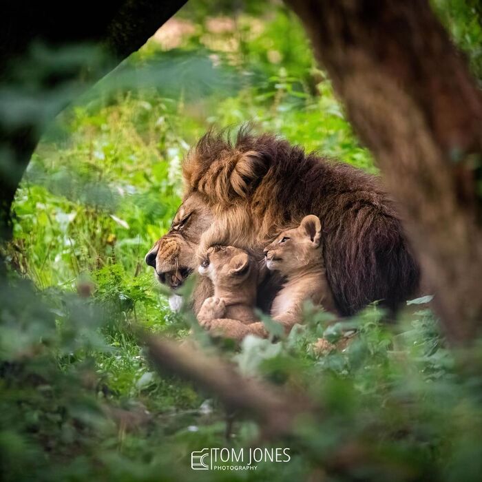 ���� ������ � ������