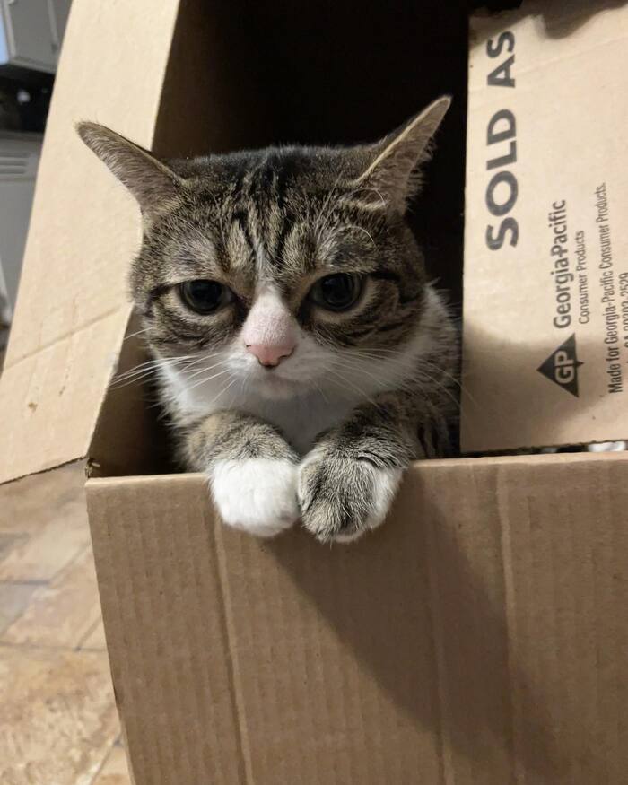       30  , , 