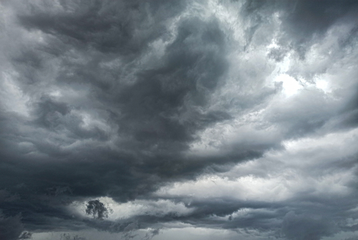 ���� ��������