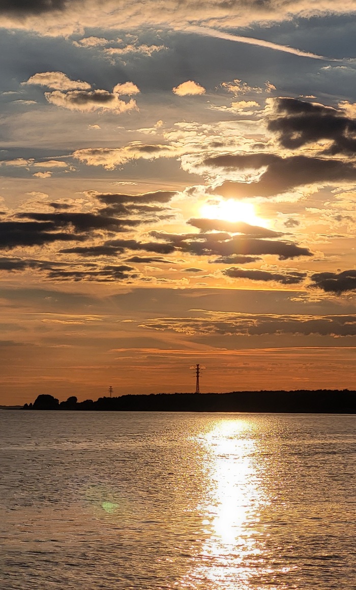 Костромские виды