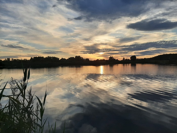 ����� �� �. �����, �����������