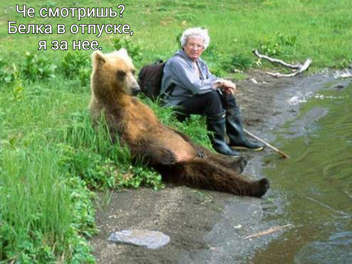 ���� ����� ������