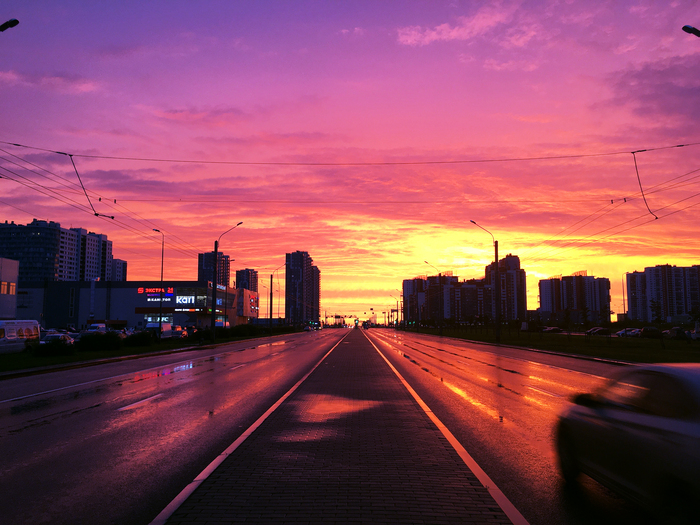 ����. ������. ���������