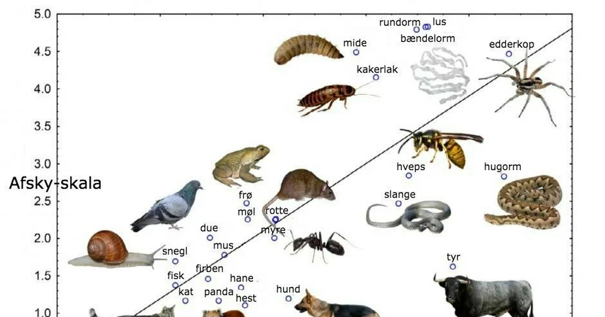 Интеллект животных таблица. Животные по интеллекту. Каких животных боятся люди. Кто кого боится из животных