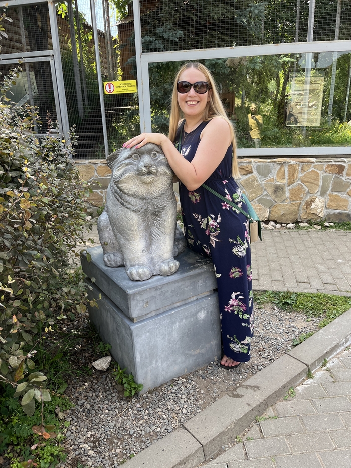 ����� ��������� �����