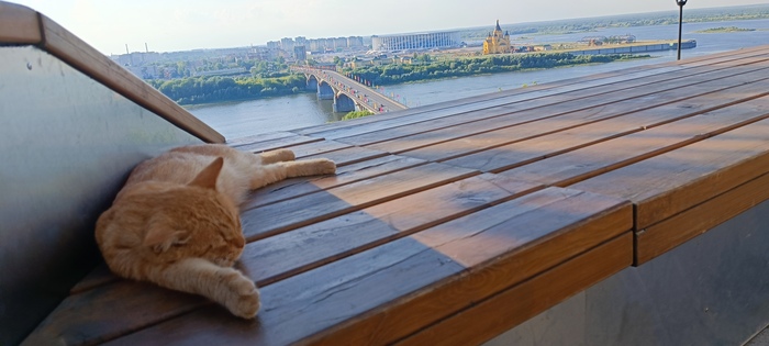 ��������� ����� � ������ ����