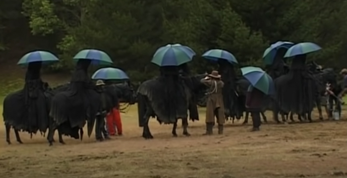 У каждого свои слабости