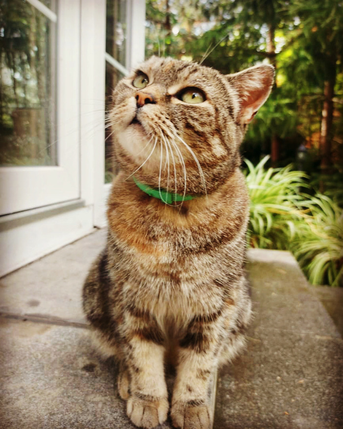 ������ ����