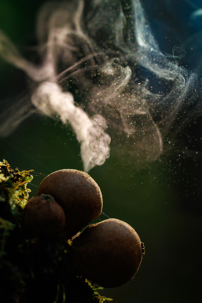 Эйяфьядлайёкюдль