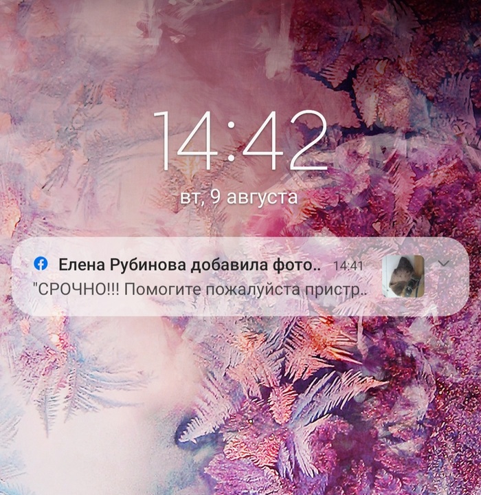 Пистолет есть у кого?