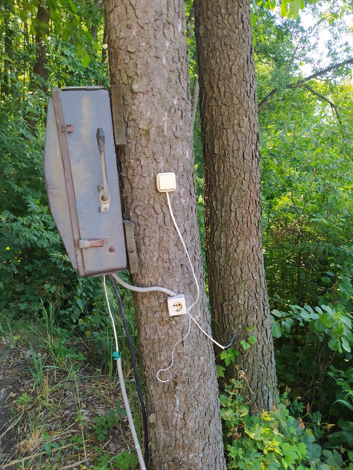 � ��� ���� ����� ���� ����?)