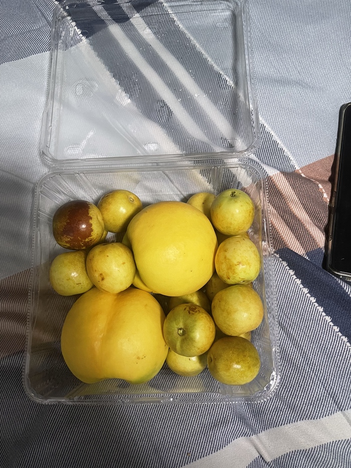 Китайский «санаторий» - обзор) Китай, Китай наизнанку, Коронавирус, Длиннопост