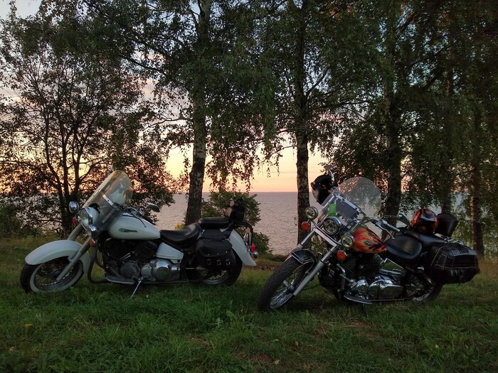 ������� ��� ���� ���������!