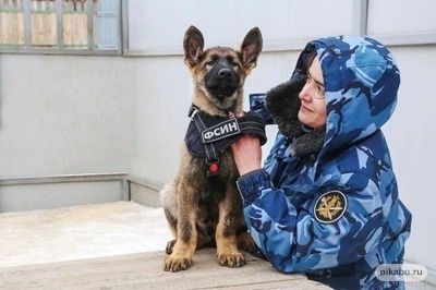 ����� �� ������