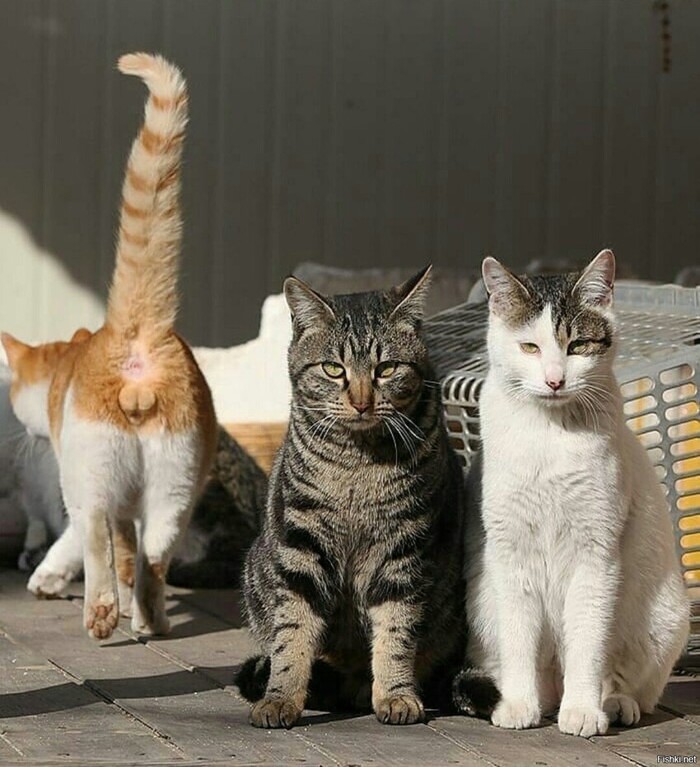 С добрым утром!