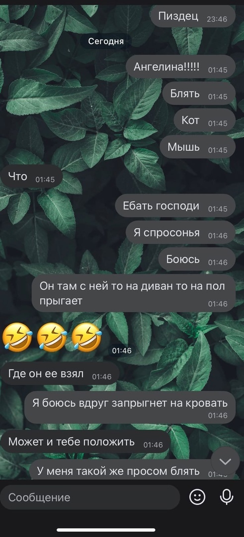     , , , , , , , 