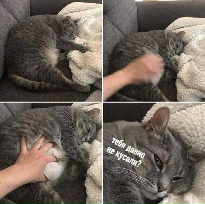    ?