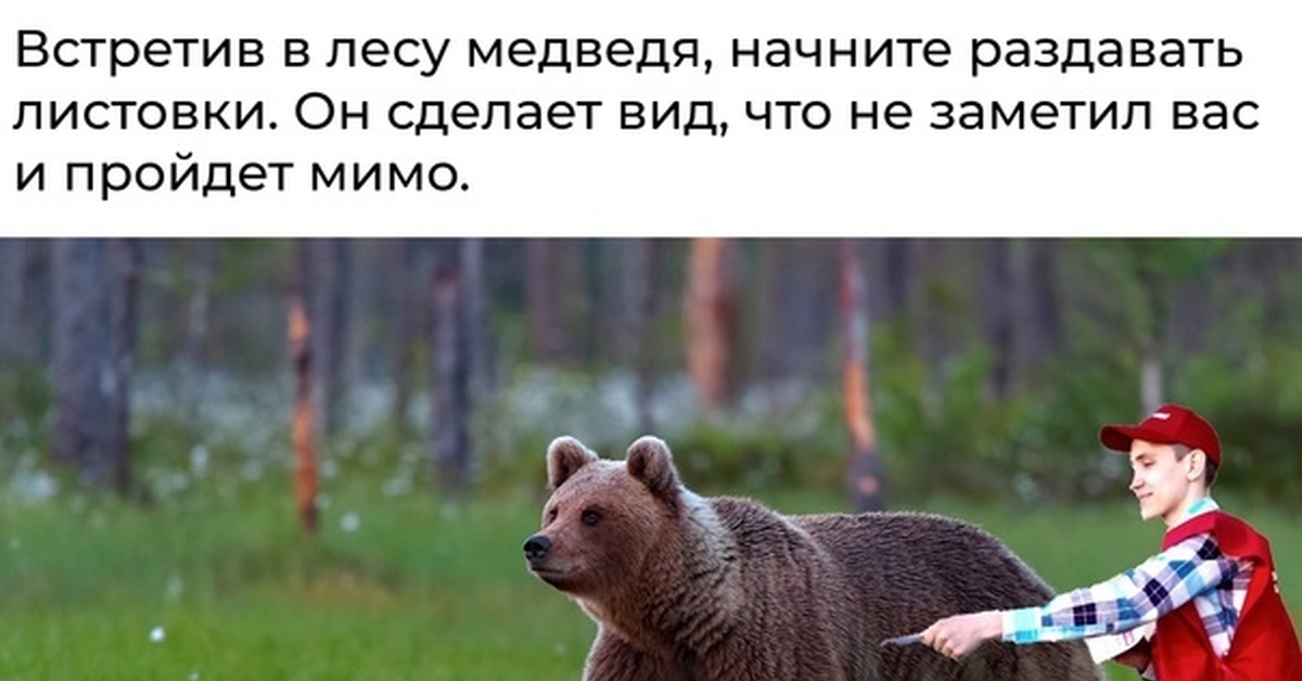Медведь орет из кустов