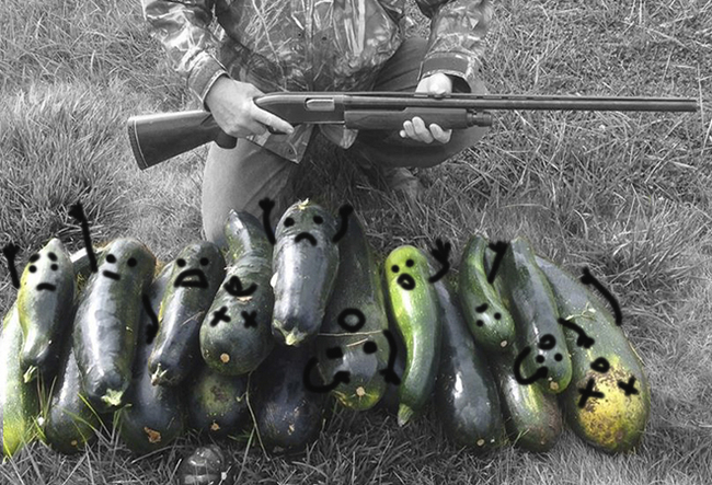 Сезон открыт